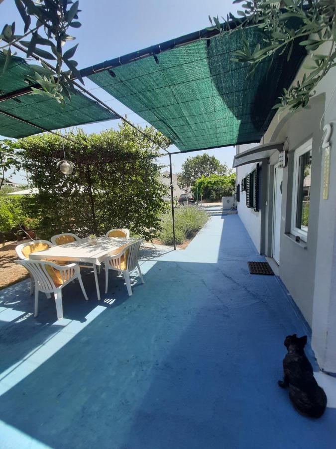 Apartments Borna 德拉格 外观 照片